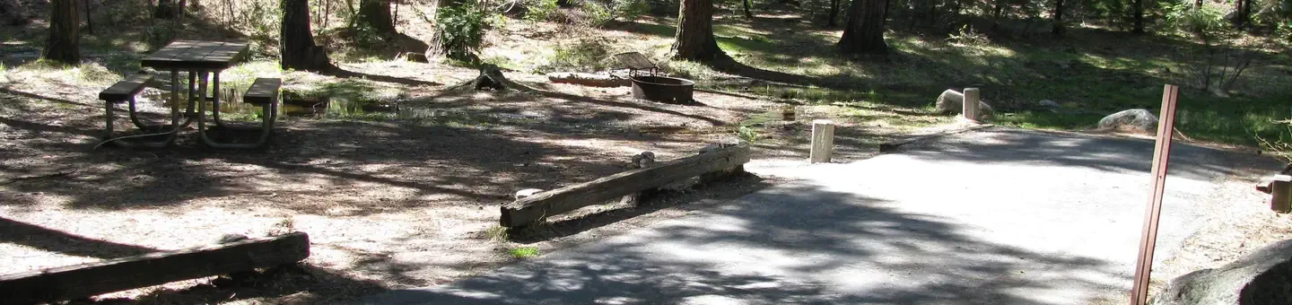 C019