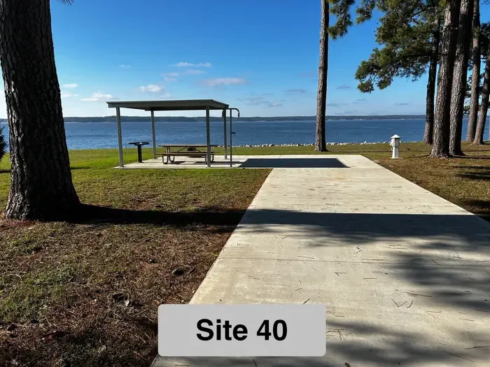 40