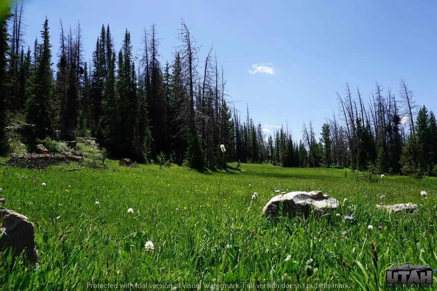 Lost Creek Campground
