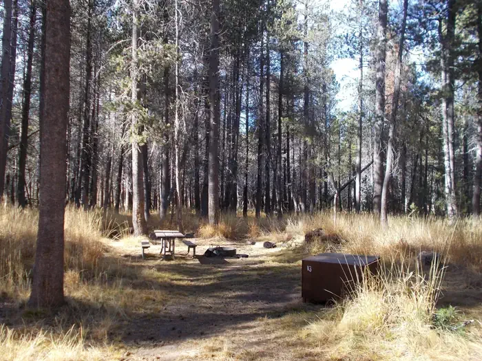 Bridalveil Creek Campground