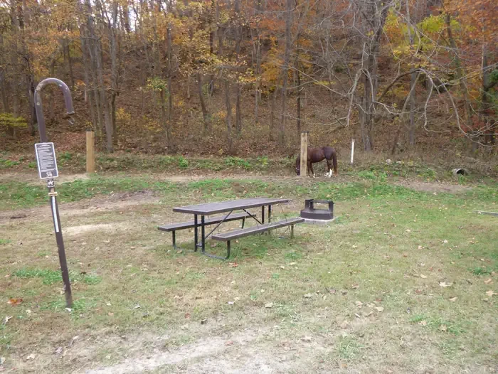 36 - Horse Site
