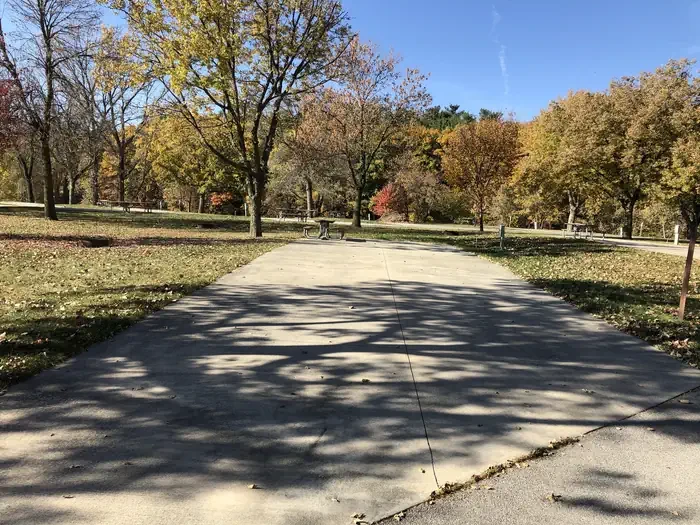 T19