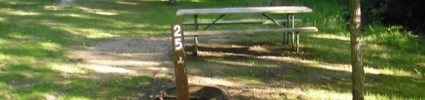 25