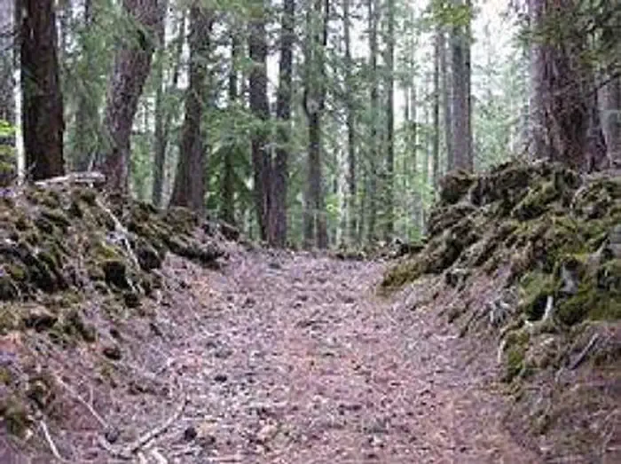 Sweet Home Nature and Heritage Tours