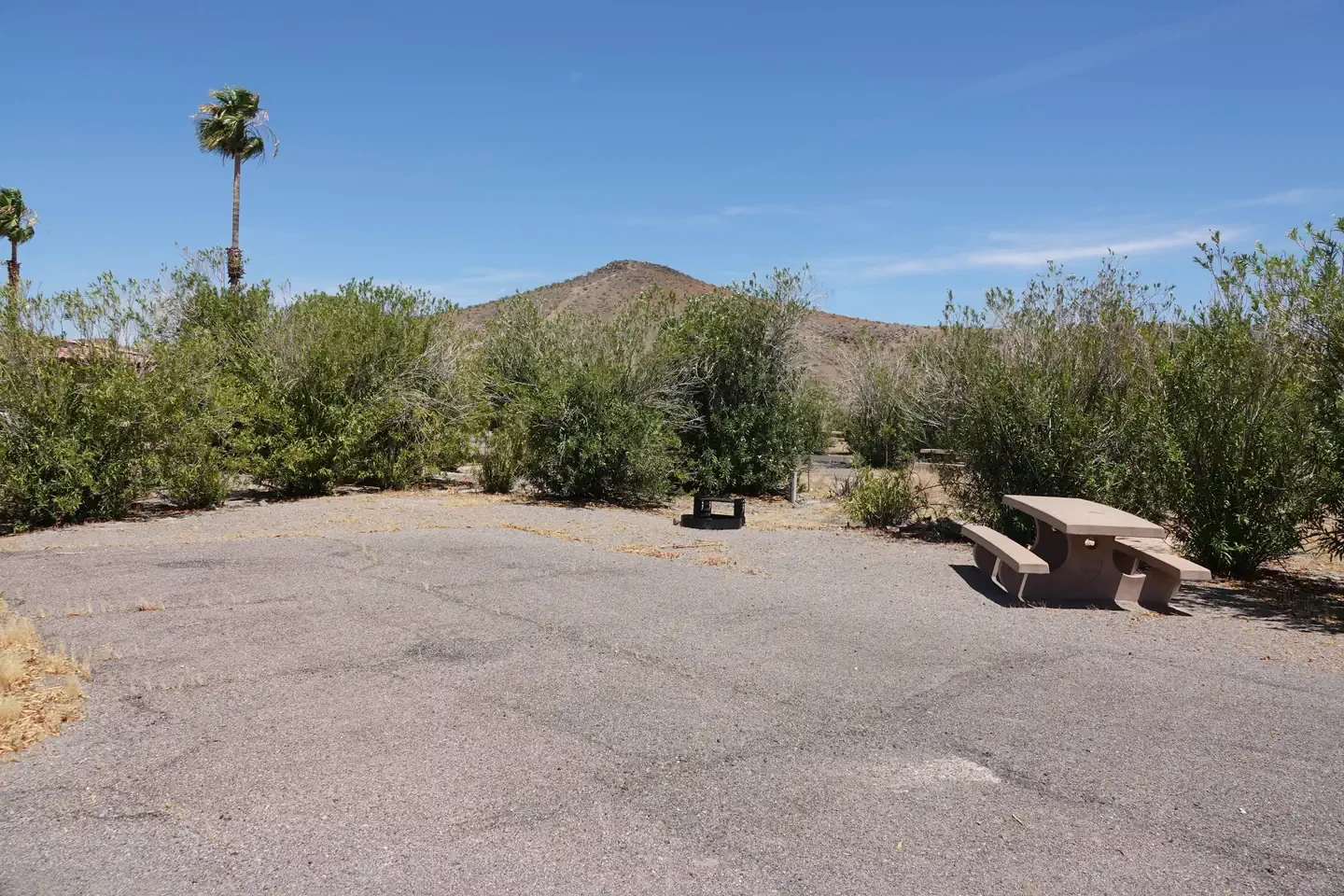 Site 26