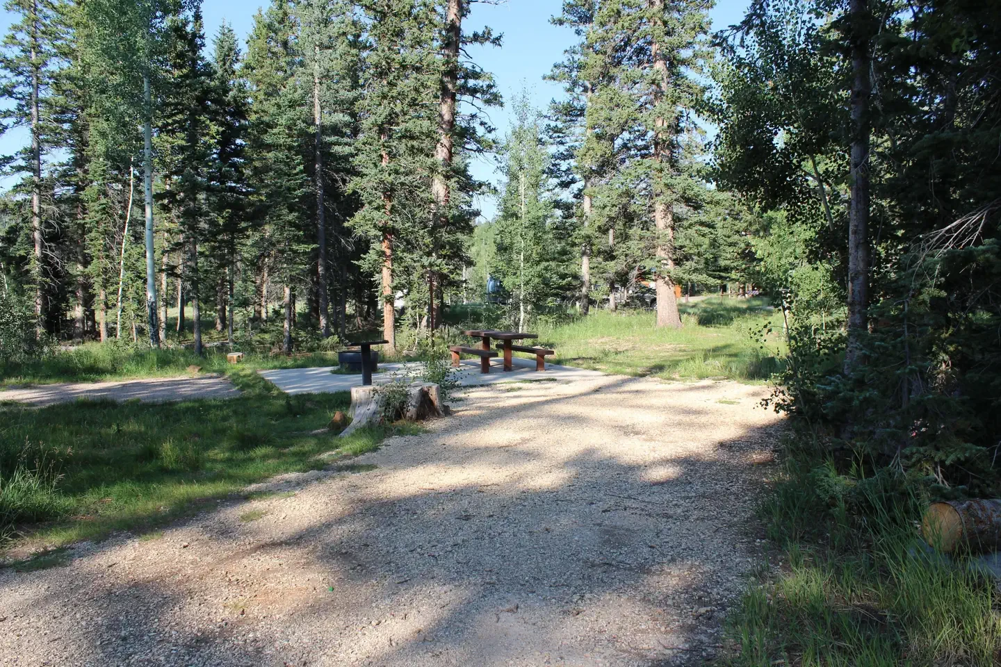 Duck Creek