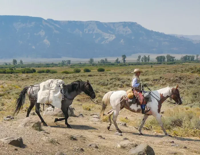 Yellowstone National Park Backcountry Permits