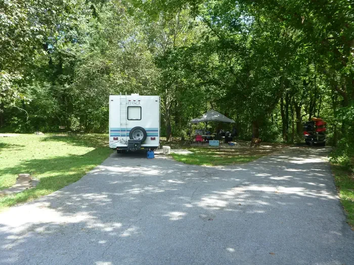 Site# 10