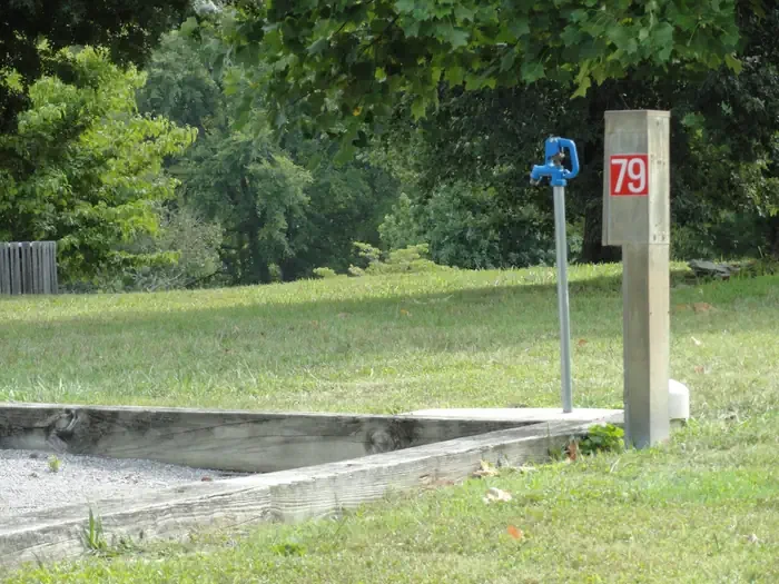 79