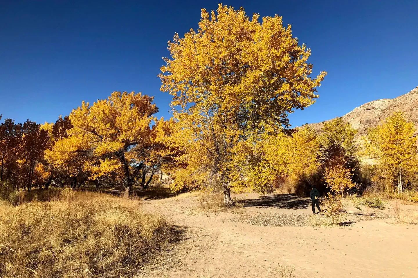 Ruby Horsethief Canyon Permits
