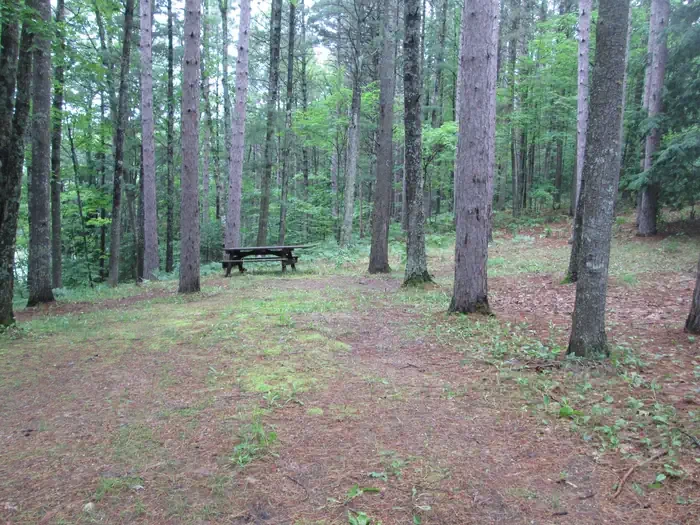 Little Bass Lake Campsites
