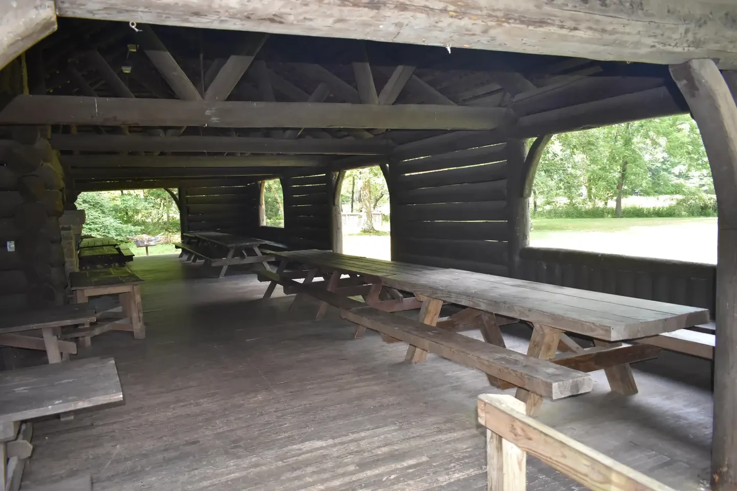 Large Picnic