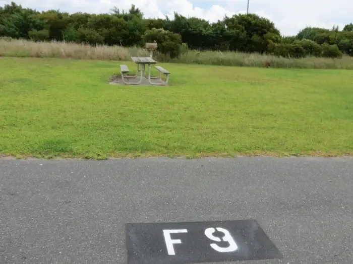 F009