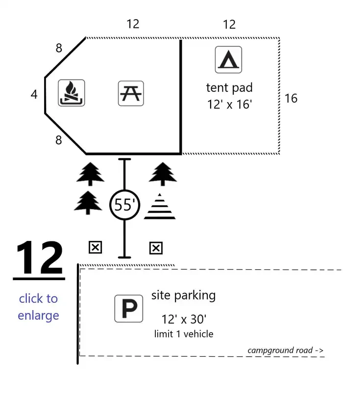 12