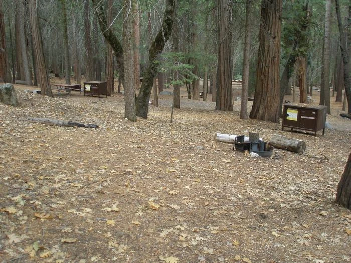 Site: 106
