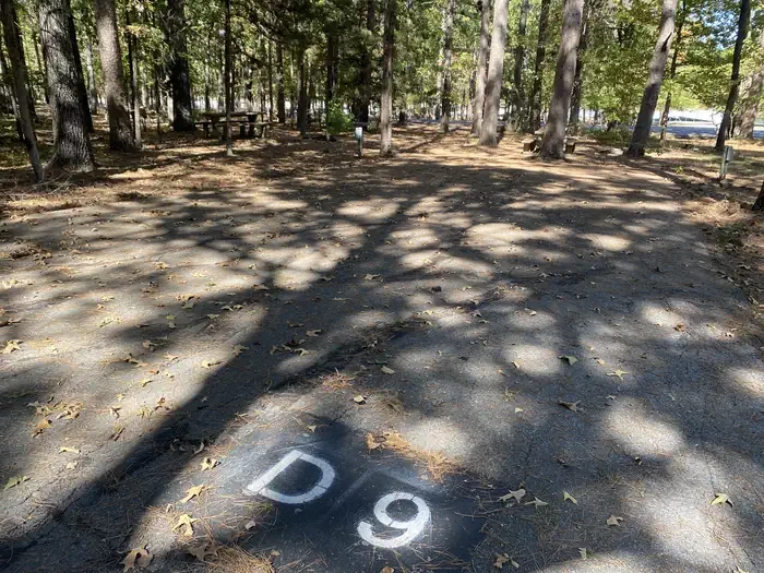 D09
