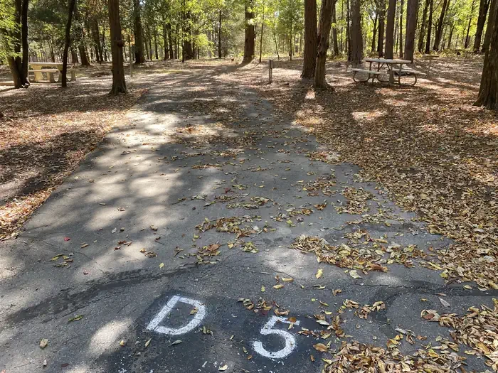 D05
