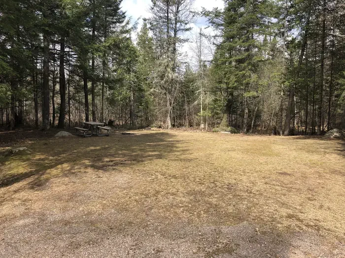 Site 02