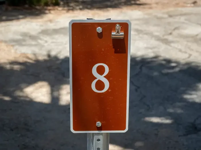 Site 8
