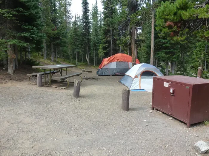 Lewis Lake site #46