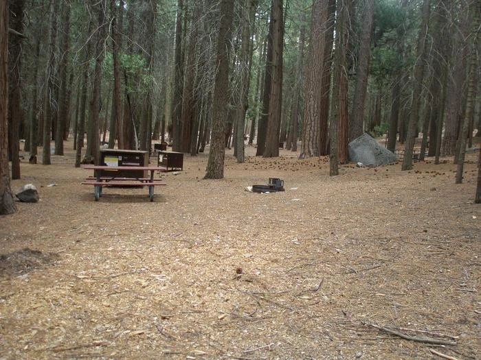 Site: 91