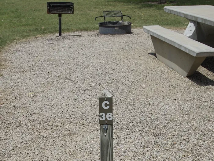 C36