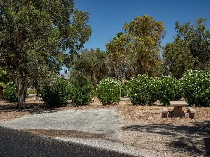 Site 21