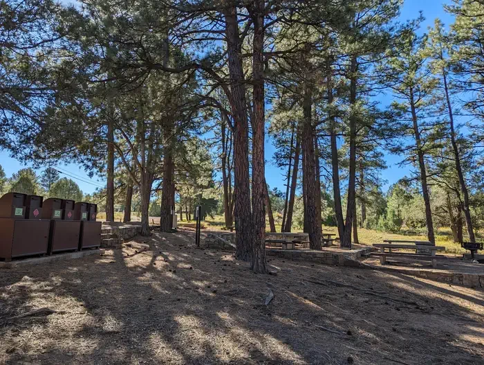 PINE FLAT PICNIC SITES - A and B