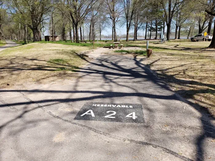 A24