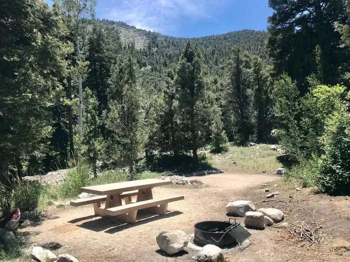 Upper Lehman Creek Campground
