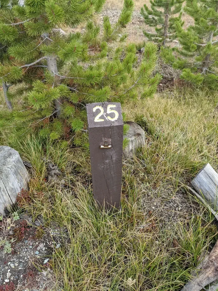 025