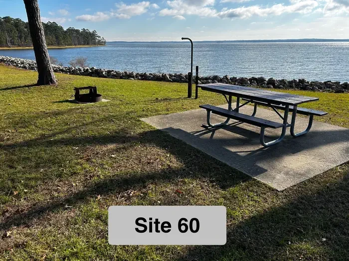 60