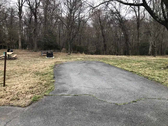 D137