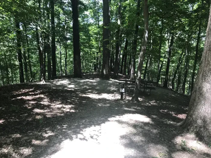 106