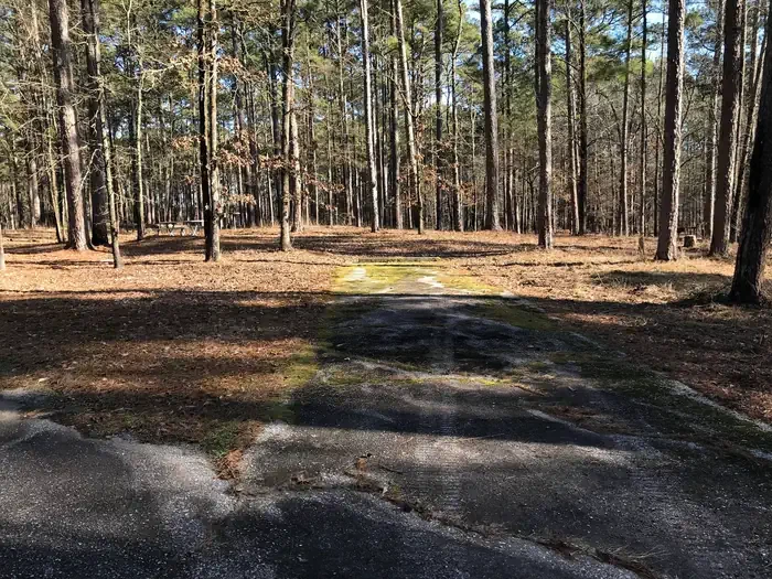 46