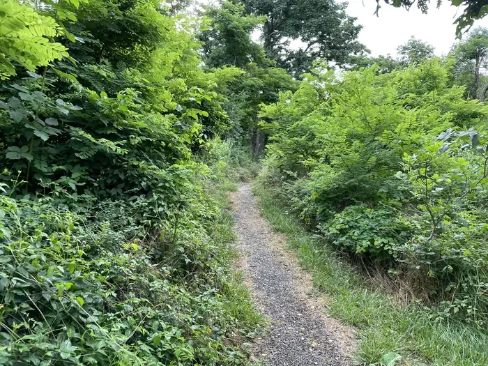 028