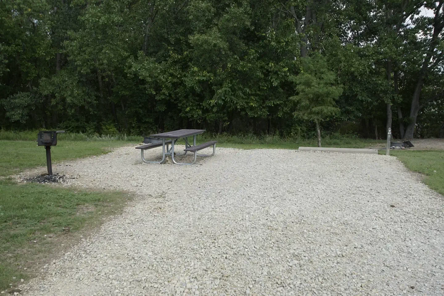 D37