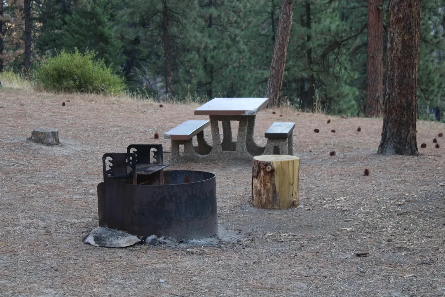 Pine Flats (id)