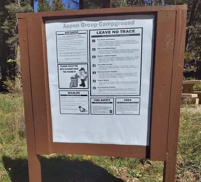 Aspen Group Area (Lincoln National Forest, NM)