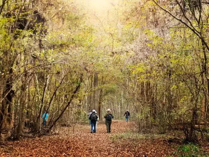 Bluff Hike In Camping