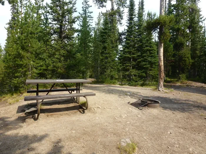 Lewis Lake site #33