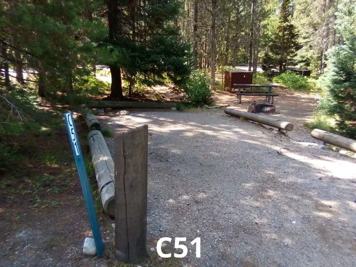 51
