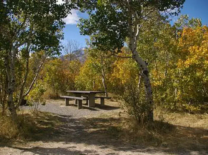 Angel Creek (Humboldt-Toiyabe National Forest, NV)