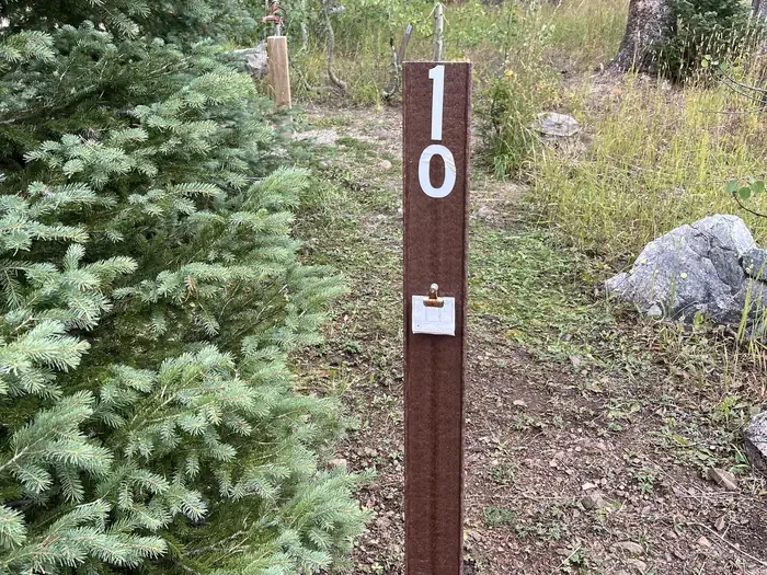 010