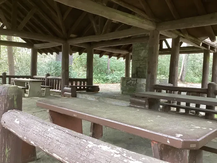 Large Shelter