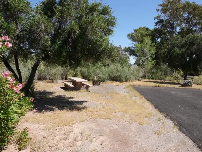 Site 13