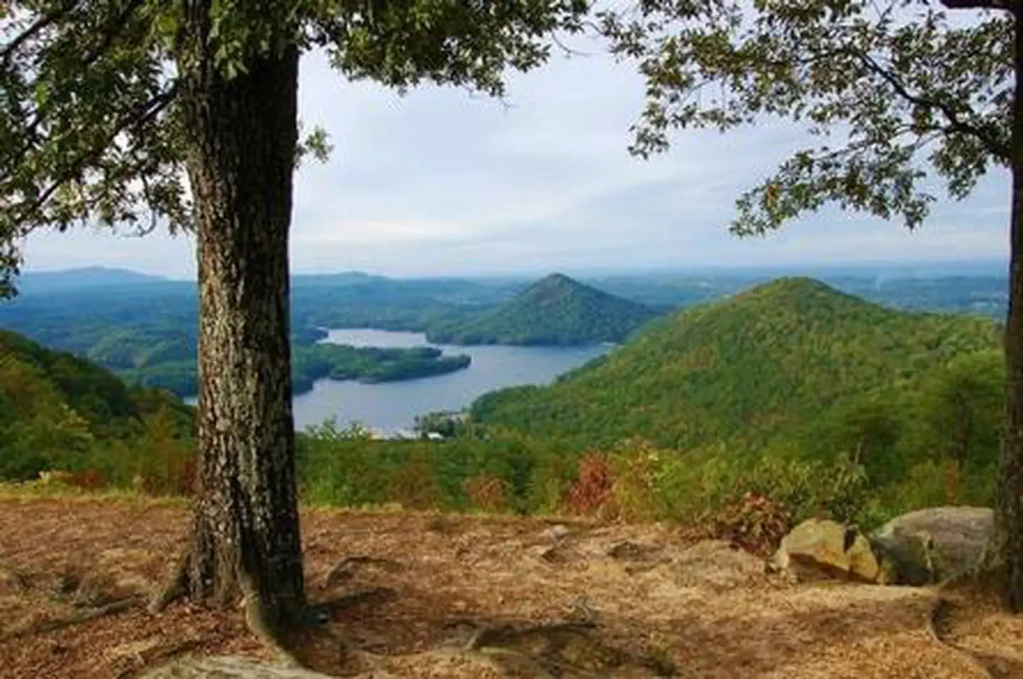 Chilhowee Campground
