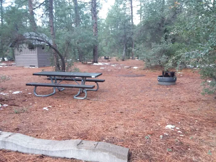 TIMBER CAMP RECREATION AREA and GROUP CAMPGROUNDS