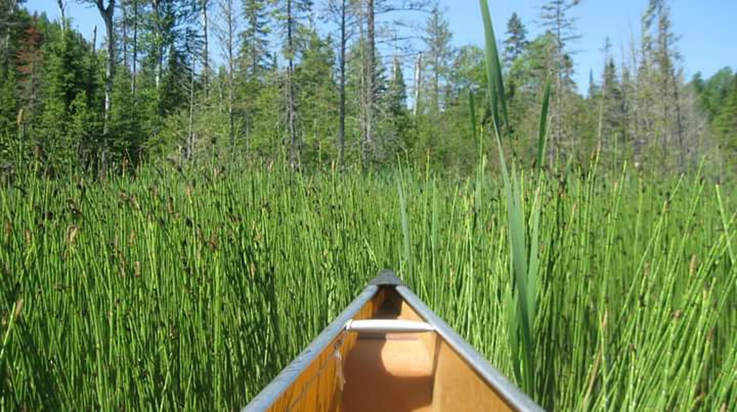 Boundary Waters Canoe Area Wilderness (Reservations)
