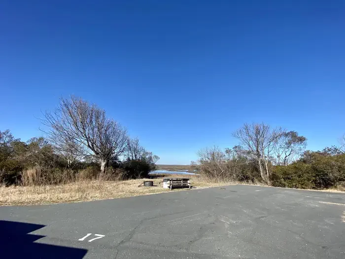 A17